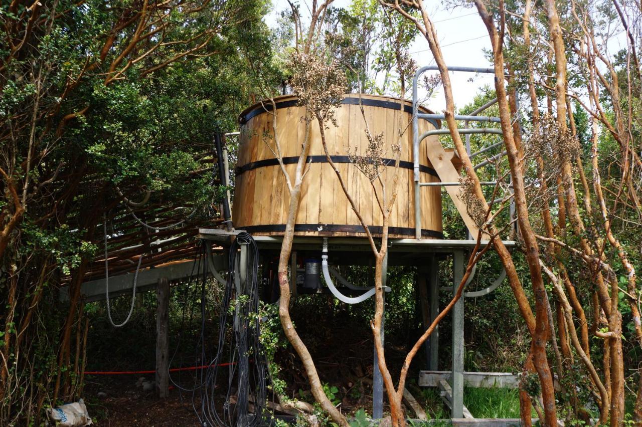 Cabanas Vista Tranquila Chiloe Кастро Экстерьер фото