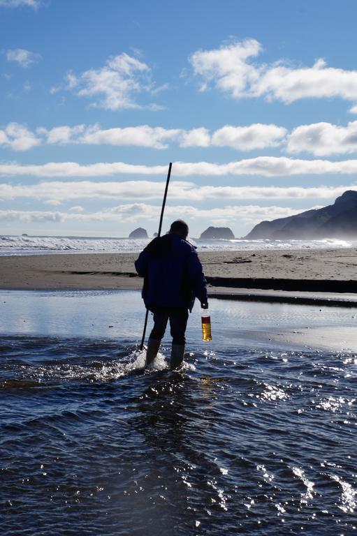 Cabanas Vista Tranquila Chiloe Кастро Экстерьер фото